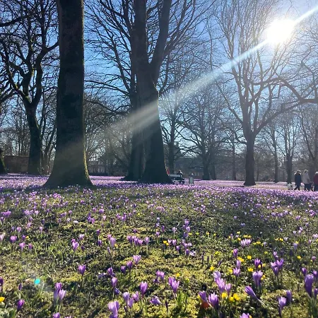 Apartament Gemuetliche Mit Sonnenterrasse Im Blauen Holzhaus Husum (Schleswig-Holstein)